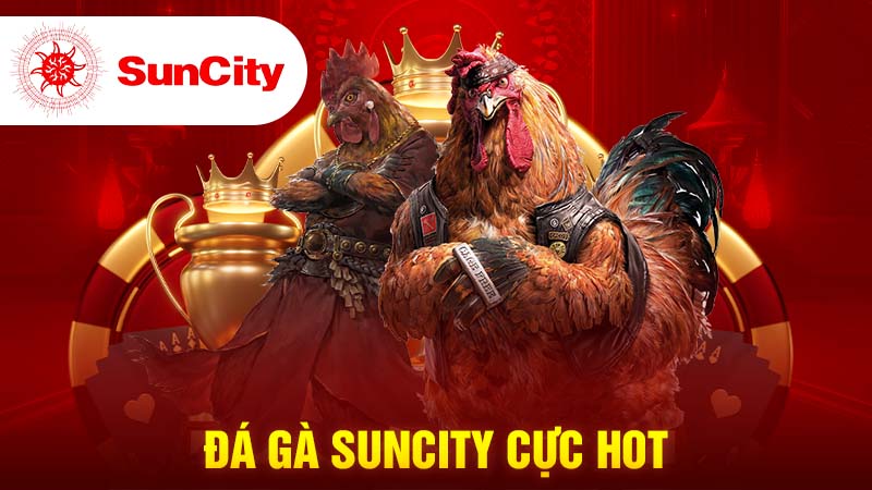 Một số hình thức đá gà phổ biến tại Suncity