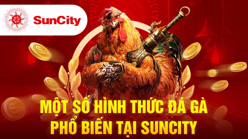 Một vài hình thức đá gà Suncity hiệu quả kê thủ cần nắm rõ