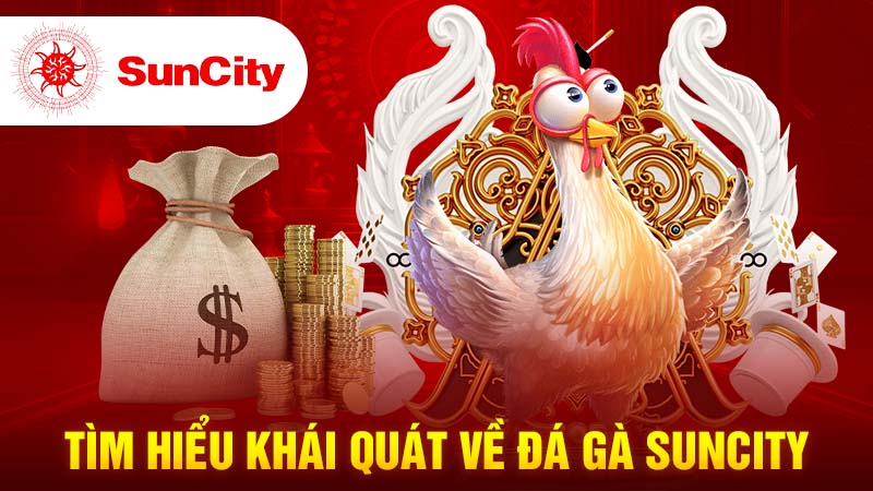 Tìm hiểu khái quát về đá gà Suncity